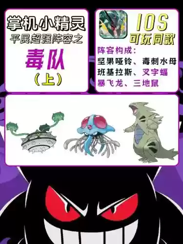 毒属性阵容插图
