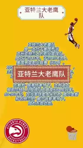 猎鹰伙伴阵容