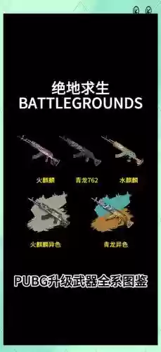 刺激战场app中的武器介绍插图1