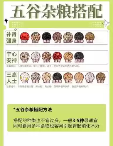 粮食新手阵容插图