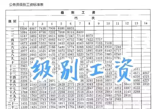 工资245阵容插图1