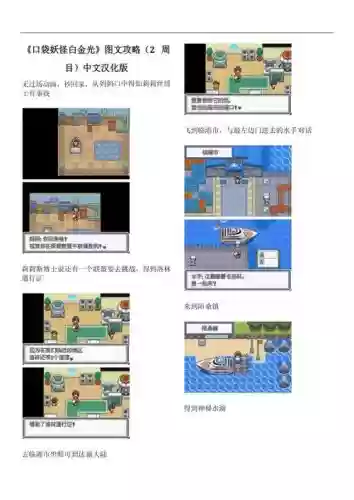 口袋怪兽第二周目攻略插图