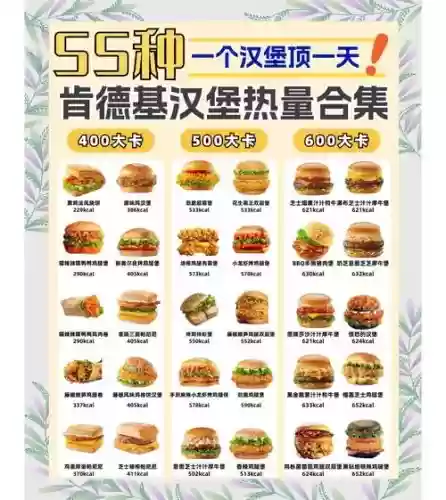 汉堡v阵容_1