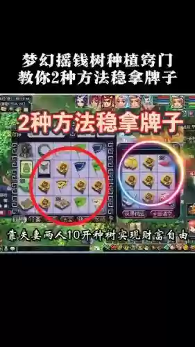 梦幻西游种树苗怎么捡插图