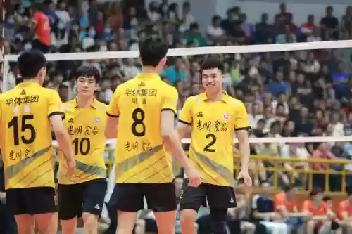 台山排球阵容