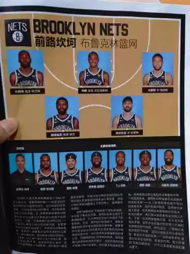 篮网阵容详解插图