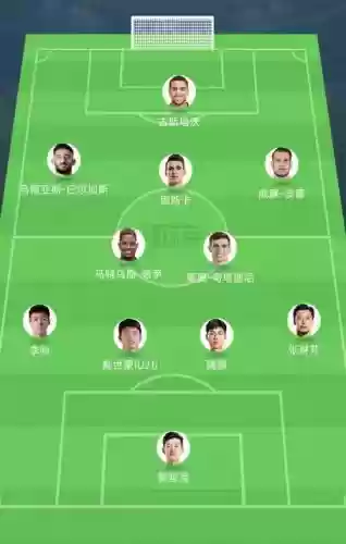 五光阵容插图1