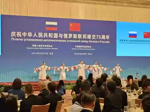 中俄会晤阵容插图