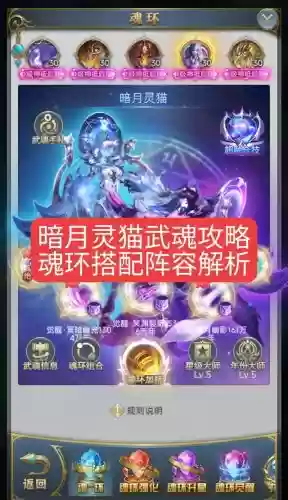 月灵阵容搭配插图