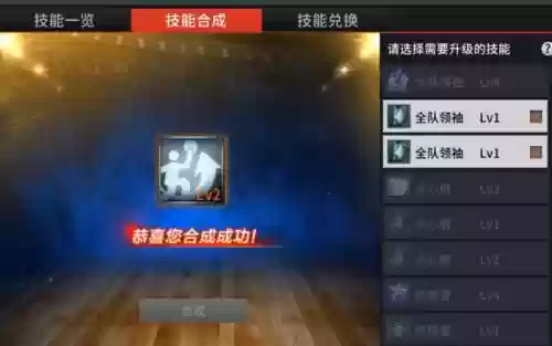 2k合技能_1