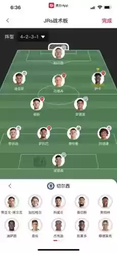 切尔西2013阵容插图