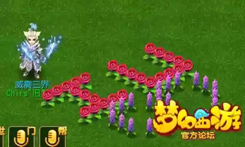梦幻西游七彩花篮图片大全_1