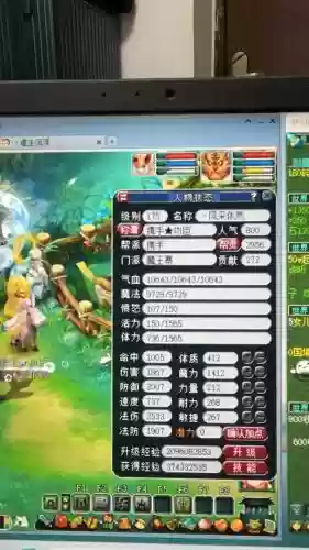梦幻西游灵饰削弱插图