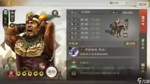 孟获张角阵容