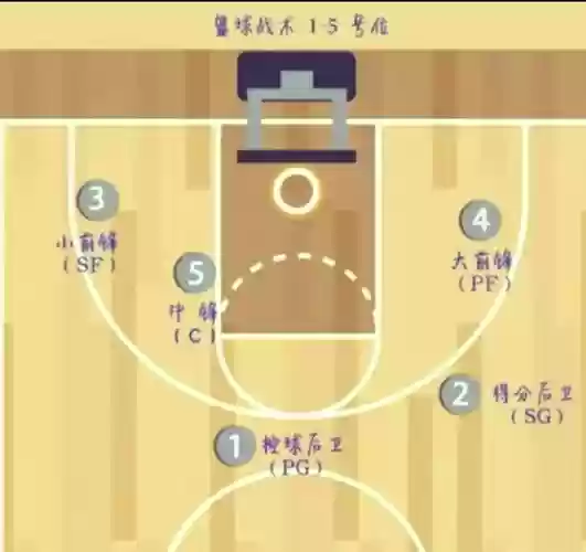 篮球阵容组成插图