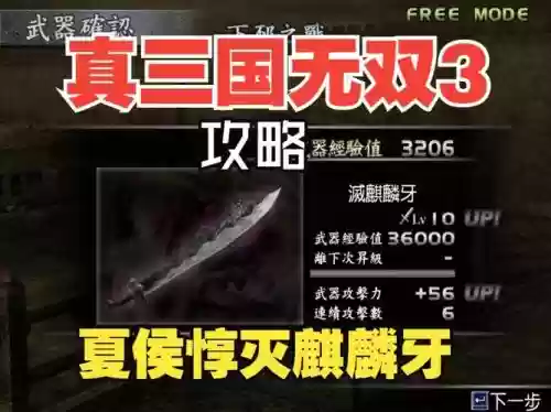 无双10级武器属性_1