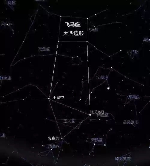 凤凰座阵容