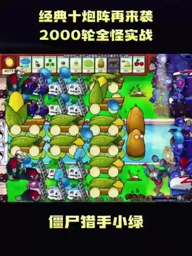 大炮最强搭配阵容插图