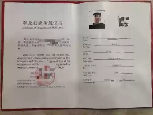 通用技能40级_1插图1