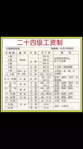 工资245阵容插图