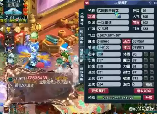梦幻西游69女儿村极限伤害_1插图