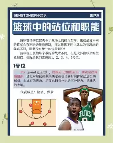篮球阵容组成