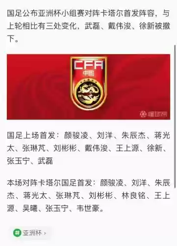 卡塔尔中国阵容