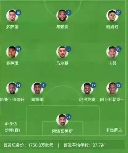 沙特目前阵容插图