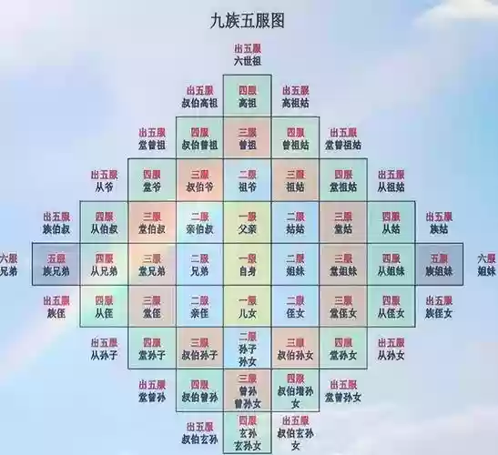 五五体系阵容插图