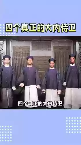 侍卫的阵容