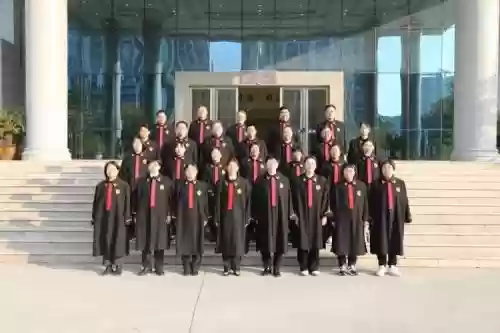 法律队阵容插图