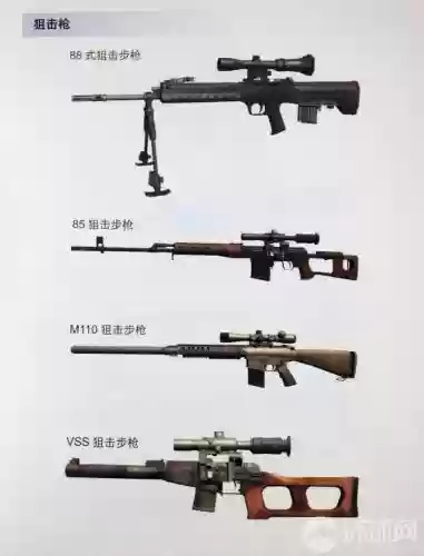 光荣使命最新武器插图1