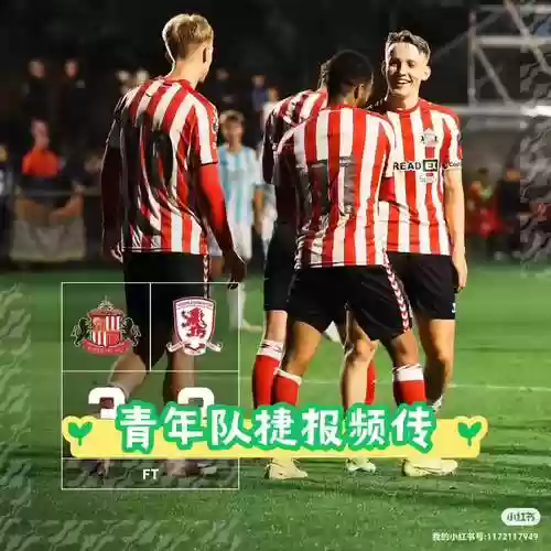 桑德兰阵容2013插图1