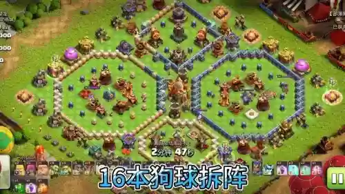 狗狗对面阵容