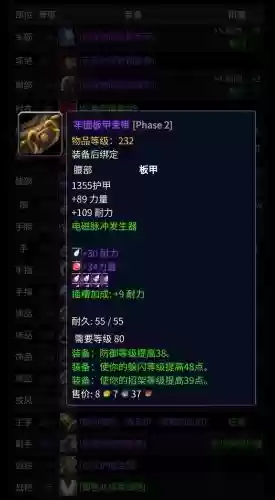wow防护骑士装备选择插图