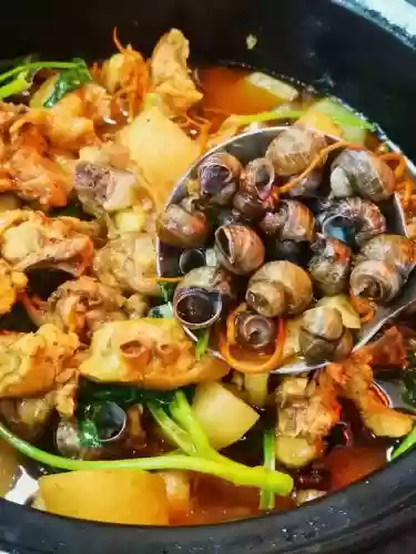 田螺推荐阵容