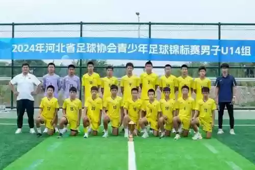 河北足球阵容_1插图