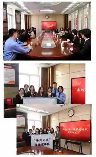 法律队阵容