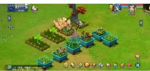 梦幻西游植物种植插图