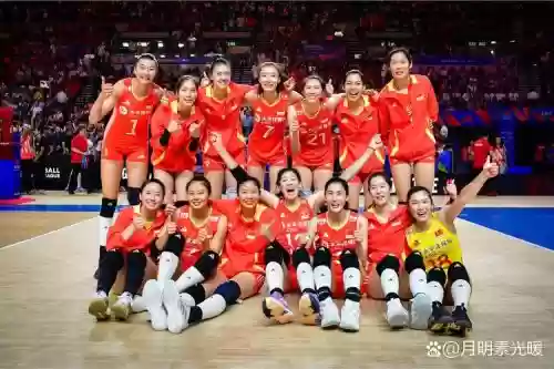女排新浪阵容插图