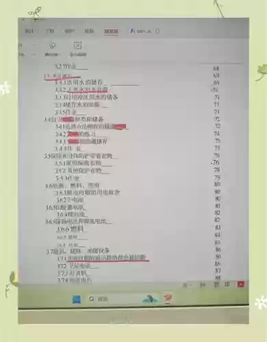 生存指南前期技能插图