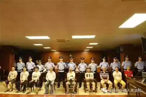 玉林判阵容插图
