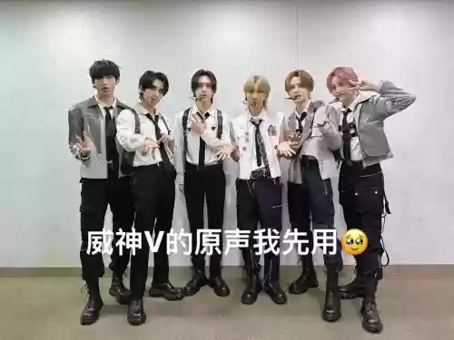 神威伙伴阵容插图