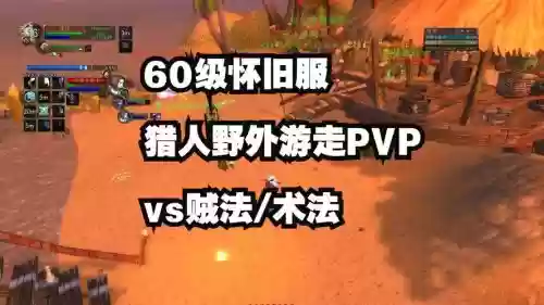 60年代猎人打全技能贼插图