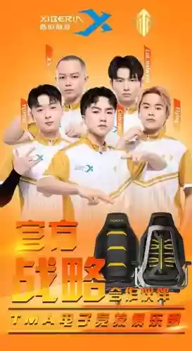 tma战队阵容插图