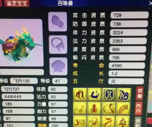 梦幻西游变异龙龟资质成长，变异龙龟进阶