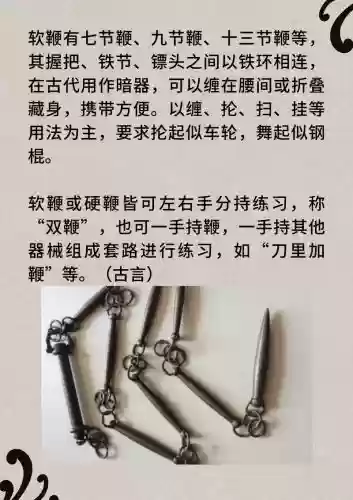 武器鞭子的名称，武器鞭子的名字插图