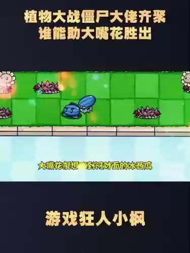 植物大战僵尸花阵容搭配，植物大战僵尸 花