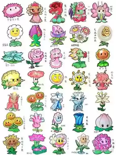 植物大战僵尸花阵容搭配，植物大战僵尸 花插图
