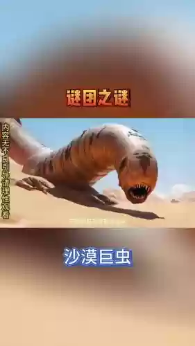 白岛第二季攻略第六章，白岛是哪个探险家发现的插图